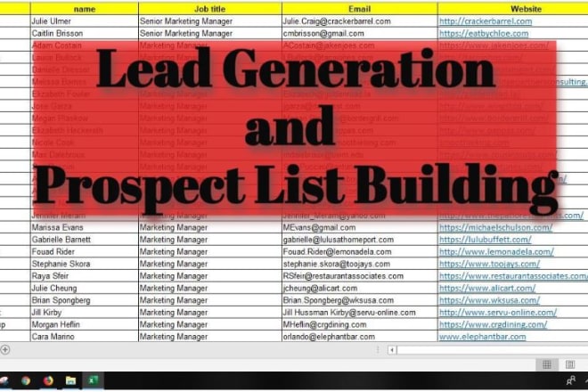 I will do b2b lead generation, collect business leads and email list building