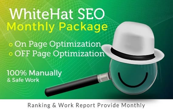 I will do monthly seo services guaranteed first page rankings