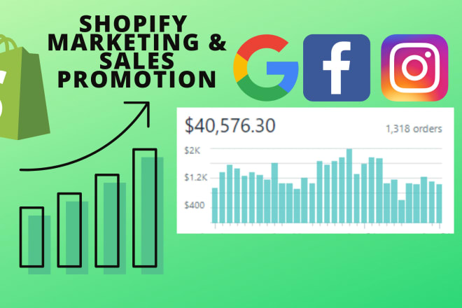 I will do shopify sales marketing promotion e commerce facebook ads