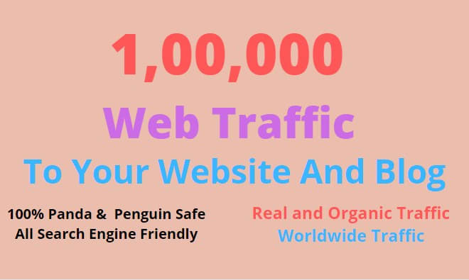 I will drive real worldwide human traffic to your website or blog