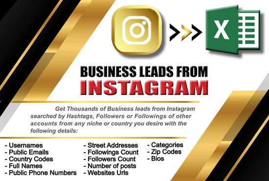 I will find business leads from instagram with details