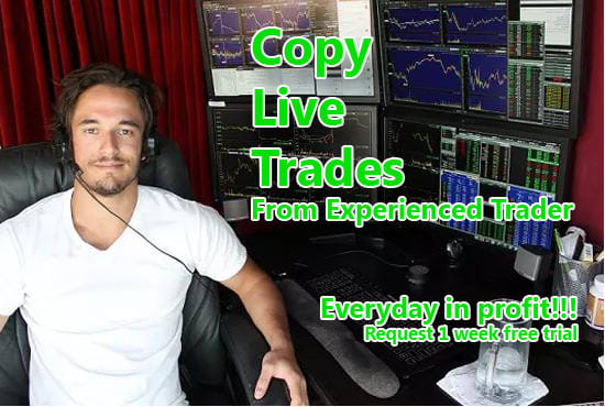 I will let you copy my trades from a professional trader work home