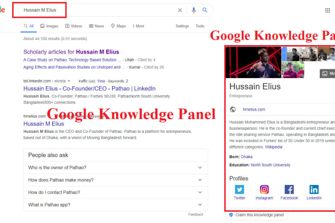 I will make google knowledge panel for person