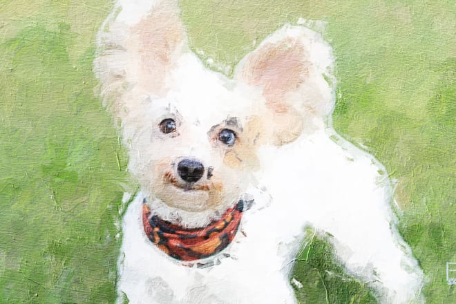 I will paint your pet digitally in my style