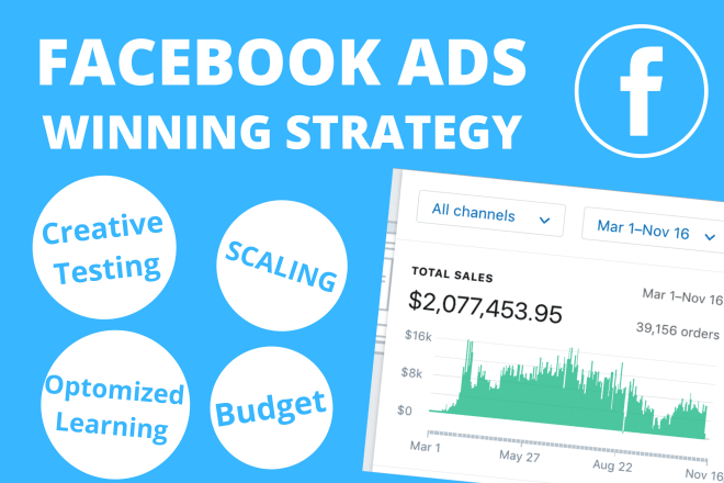 I will provide a multimillion dollars facebook ads strategy