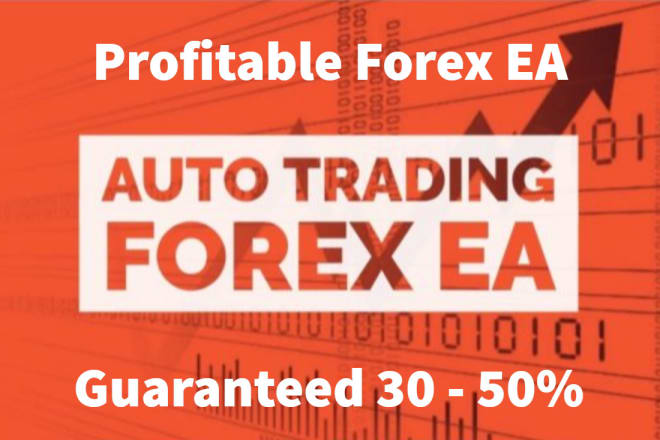 I will set high win forex ea, forex ea trading robot with no loss