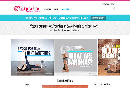 I will set up, modify your yoga, health coaching website