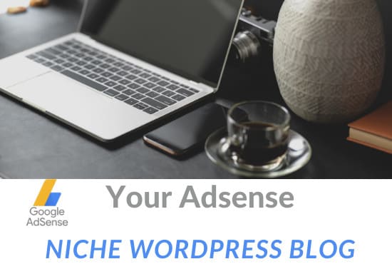 I will setup your adsense niche site or blog