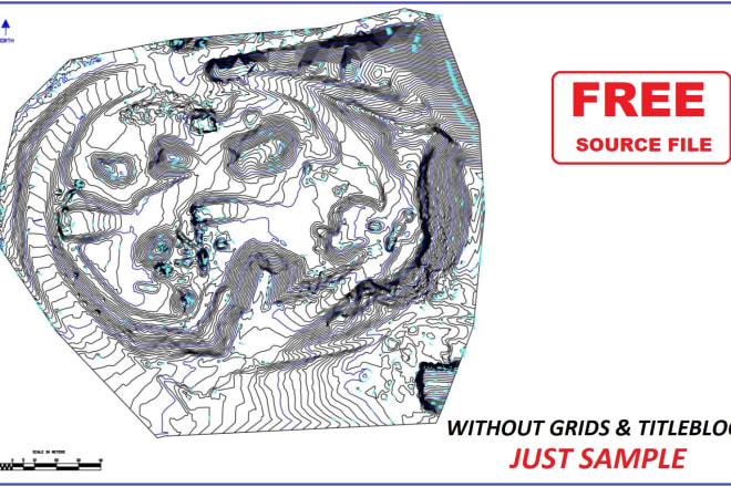 I will topography map on autocad civil 3d within 1 day