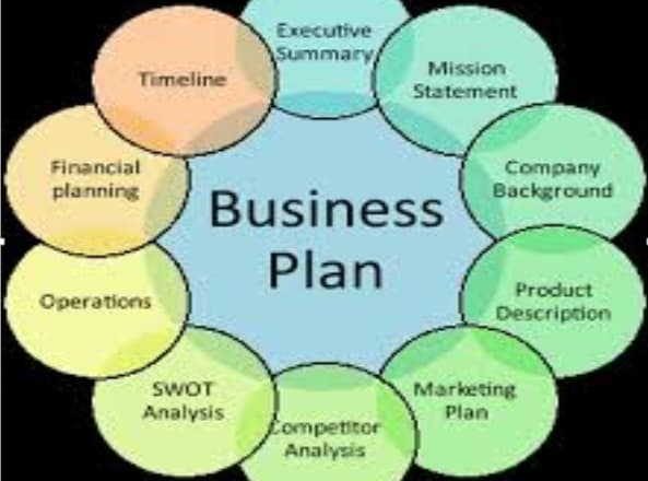 I will write a professional investor winning business plan