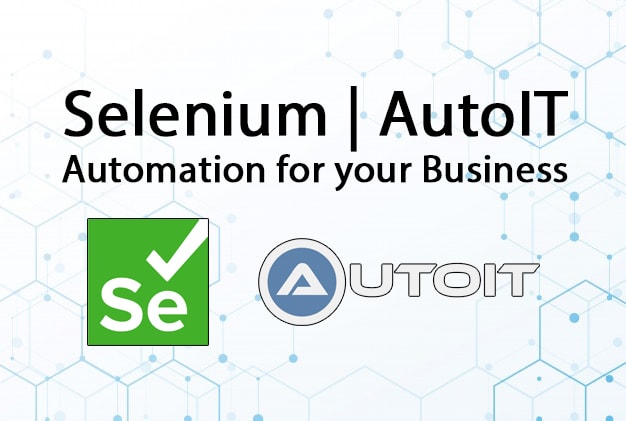 I will automate your website or process using selenium and autoit