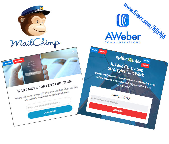 I will create awesome optin form with mailchimp and aweber