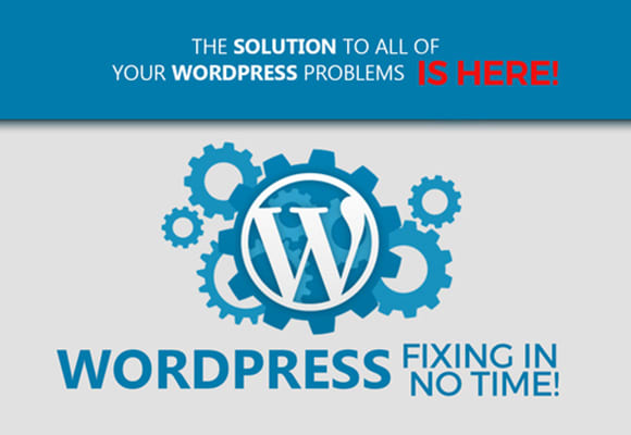 I will create, fix, customize your wordpress website