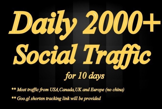 I will get 20k niche targeted social traffic website visitors