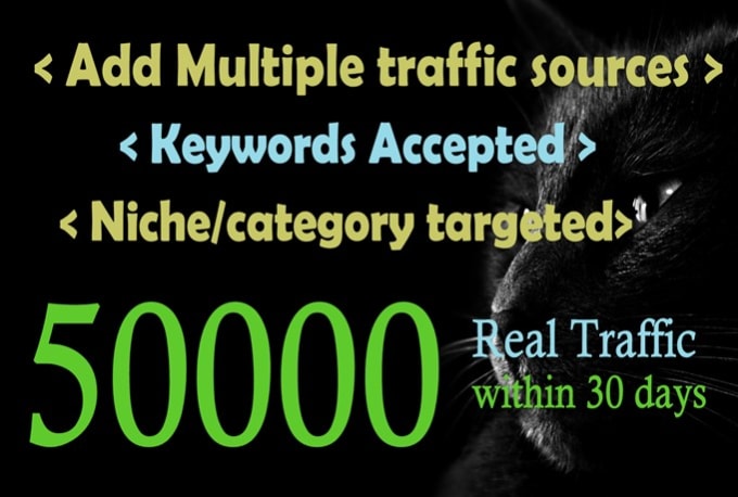 I will get 50k seo friendly niche targeted website traffic