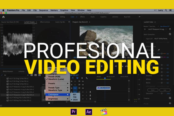 I will make professional video editing