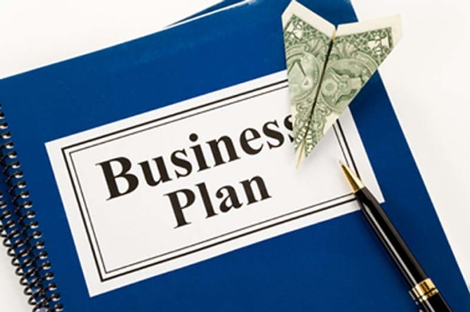I will prepare a custom made business plan