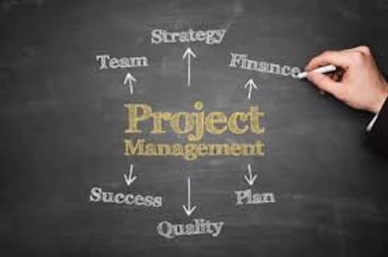 I will provide a project plan template and project mgmt coaching