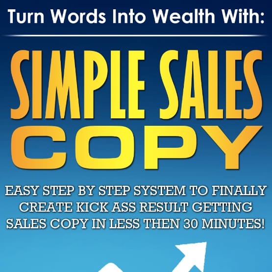 I will write a perfect sales copy that sells