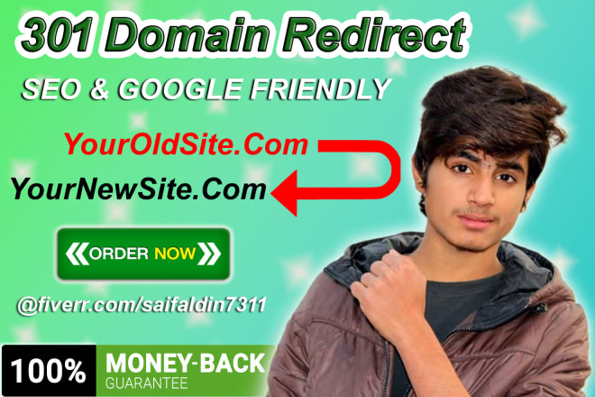 I will 301 redirect your website from old to new domain