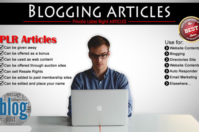 I will 800 plr articles on blogging niche private label rights