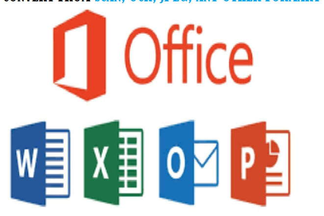 I will accurately convert scan, pdf, jpeg to notepad, word, excel