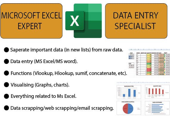 I will assist you in ms excel tasks, data scraping and data entry