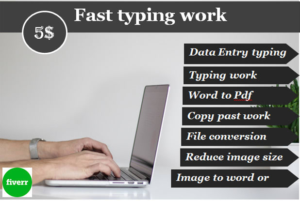 I will be professional typist on microsoft word,file conversion
