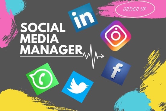 I will be social media post manager, creator n advertiser of fb, insta, yt, twitter, pi