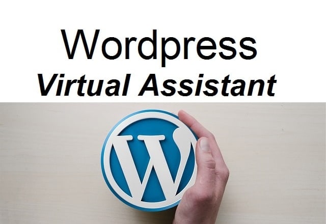 I will be your best wordpress virtual personal assistant, consultant, helper or support