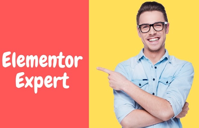 I will be your elementor expert for elementor website by elementor pro