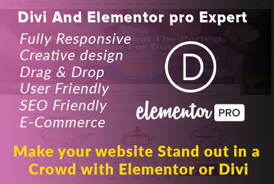 I will be your expert for wordpress divi, elementor pro