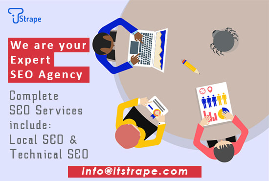 I will be your expert SEO agency
