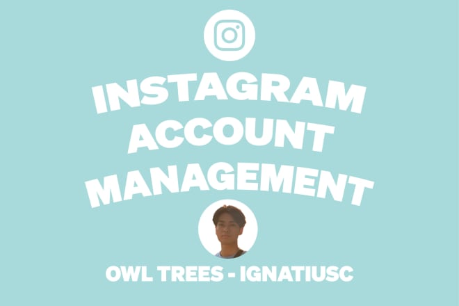 I will be your instagram marketing manager and content creator