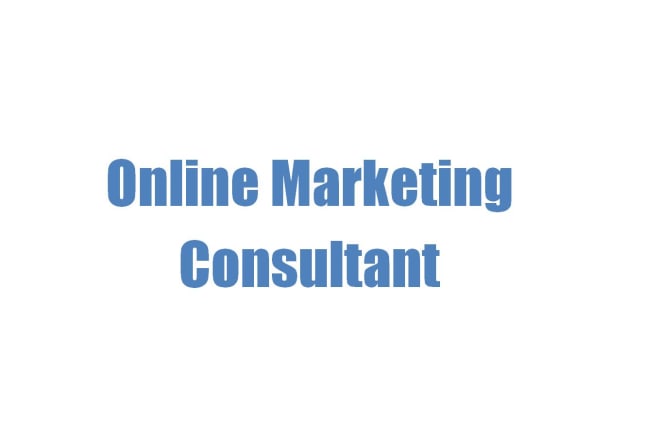 I will be your online marketing consultant for 30 days