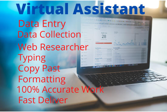 I will be your perfect virtual assistant for data entry PDF to excel