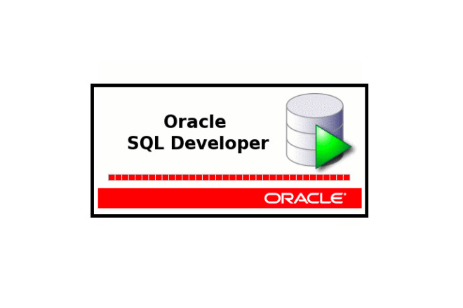 I will be your professional oracle manager and pl sql developer