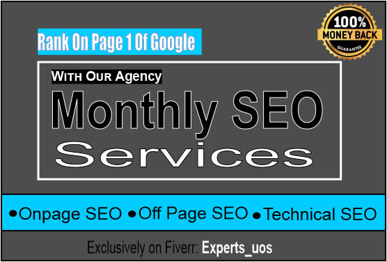 I will be your small business SEO agency