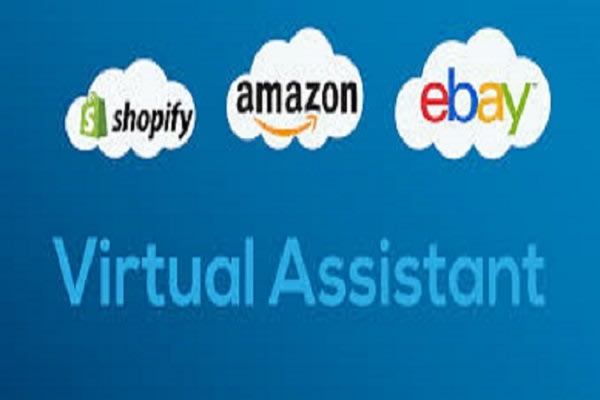 I will be your VA for ebay listing and order fulfillment