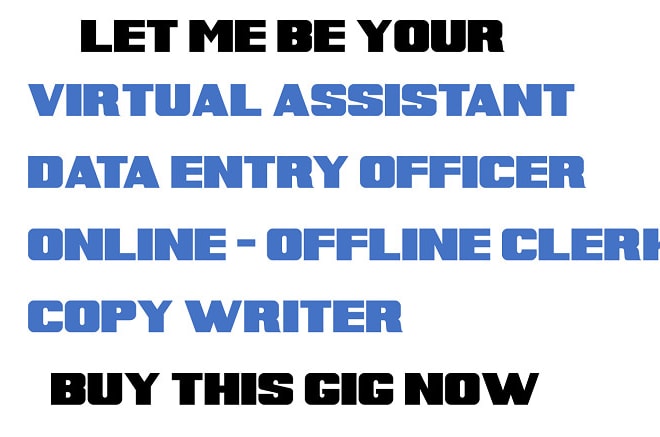 I will be your virtual assistant for data entry and online jobs