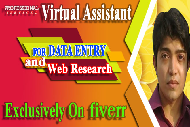 I will be your virtual assistant for data entry and web research