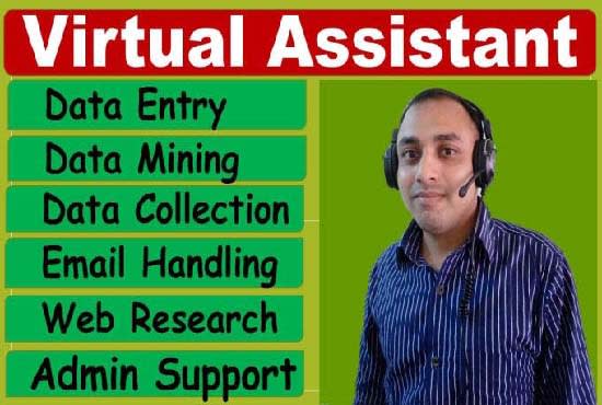 I will be your virtual assistant for data entry and web research