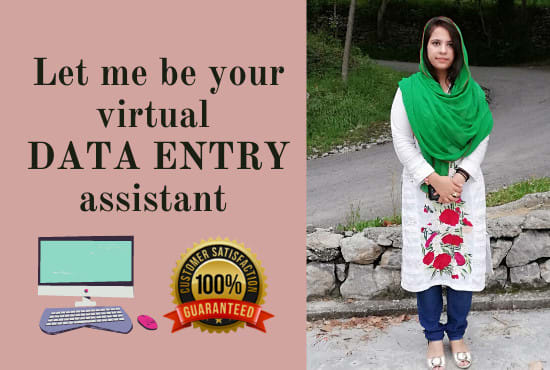 I will be your virtual data entry assistant