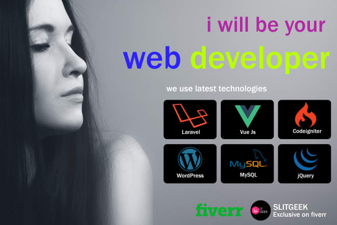 I will be your web developer