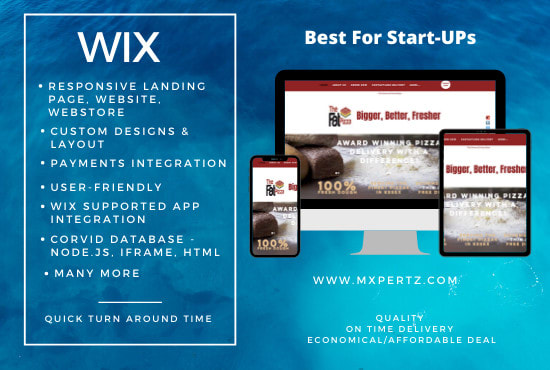 I will be your wix website expert developer