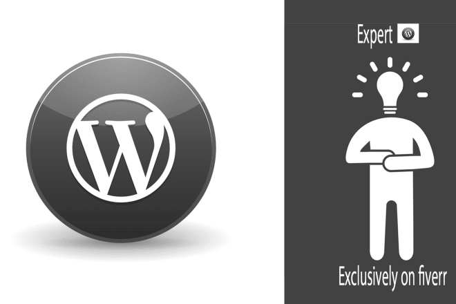 I will be your wordpress expert