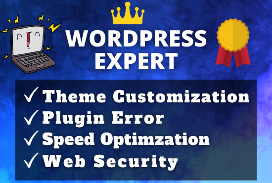 I will be your wordpress expert developer for themes and plugins