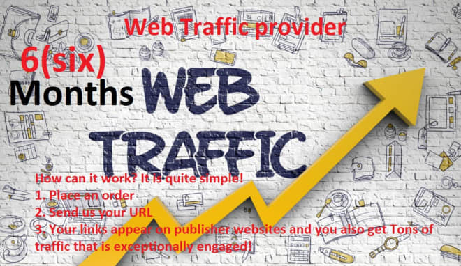 I will bring targeted web traffic, visitor from USA, europe