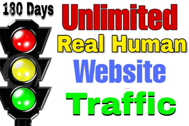 I will bring unlimited website traffic to your online business