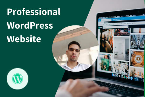 I will build a professional website with wordpress